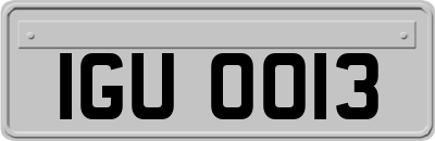 IGU0013