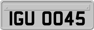 IGU0045