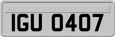 IGU0407