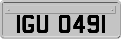 IGU0491