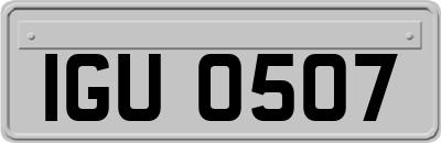 IGU0507