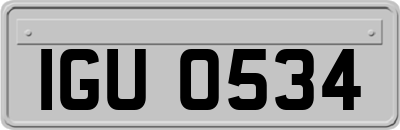 IGU0534