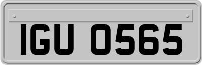 IGU0565