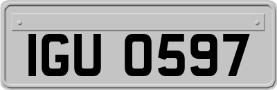IGU0597