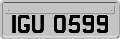 IGU0599