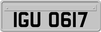 IGU0617