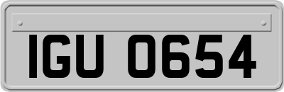 IGU0654
