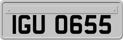IGU0655
