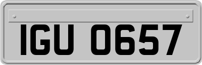 IGU0657