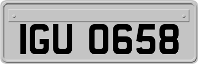 IGU0658