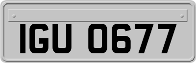IGU0677