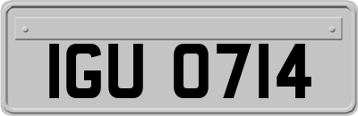 IGU0714