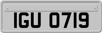 IGU0719