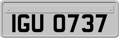 IGU0737