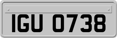 IGU0738