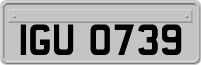 IGU0739