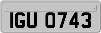IGU0743