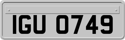 IGU0749