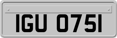 IGU0751