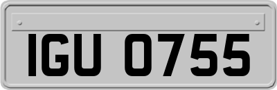 IGU0755