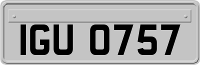 IGU0757