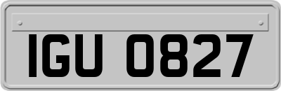 IGU0827