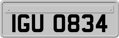 IGU0834