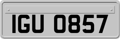 IGU0857