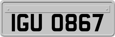 IGU0867