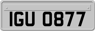 IGU0877