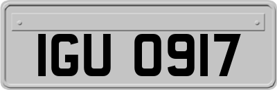 IGU0917