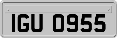 IGU0955