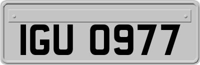 IGU0977