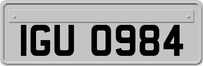 IGU0984