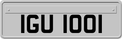 IGU1001