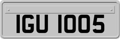 IGU1005