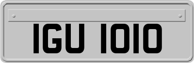 IGU1010