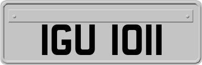 IGU1011