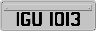 IGU1013