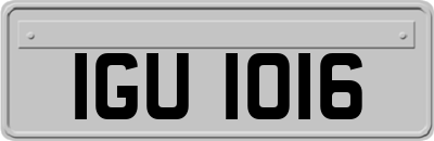 IGU1016