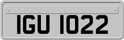 IGU1022