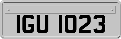IGU1023
