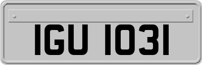 IGU1031