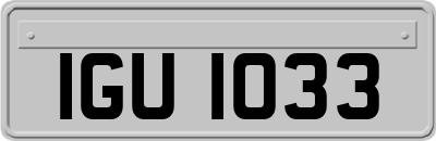 IGU1033