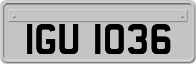 IGU1036