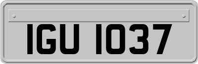 IGU1037