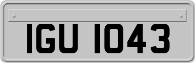 IGU1043