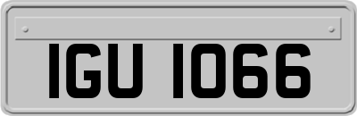 IGU1066