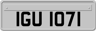 IGU1071