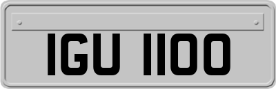 IGU1100